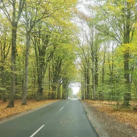 Prázdninový dům Luxury Retreat With Pool - By Traum