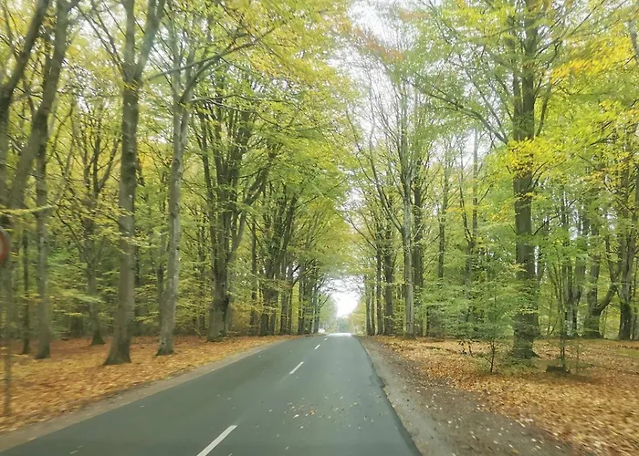 Prázdninový dům Luxury Retreat With Pool - By Traum