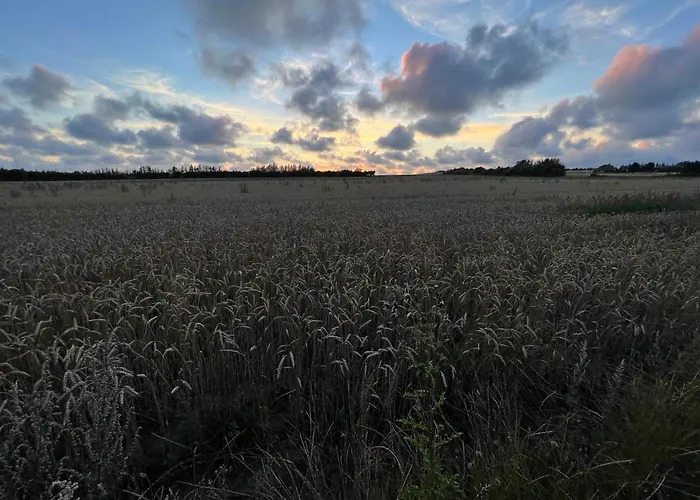 Luxury Retreat With Pool - By Traum Henne Strand