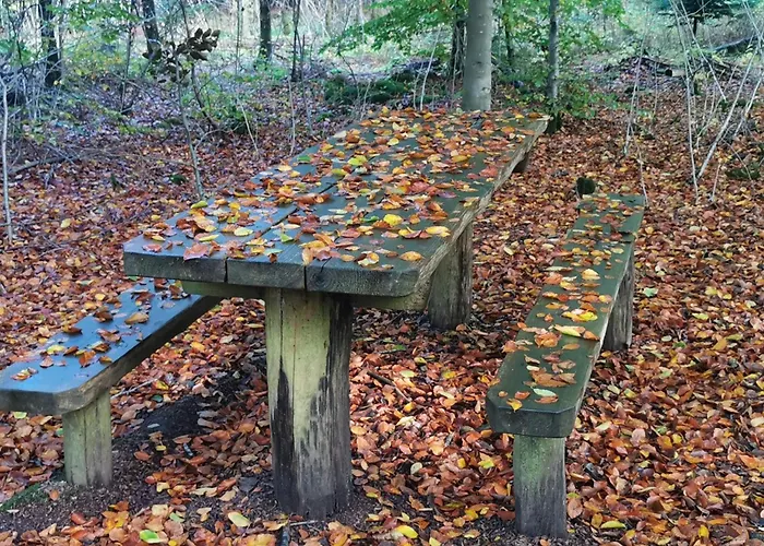 Luxury Retreat With Pool - By Traum Feriehus *