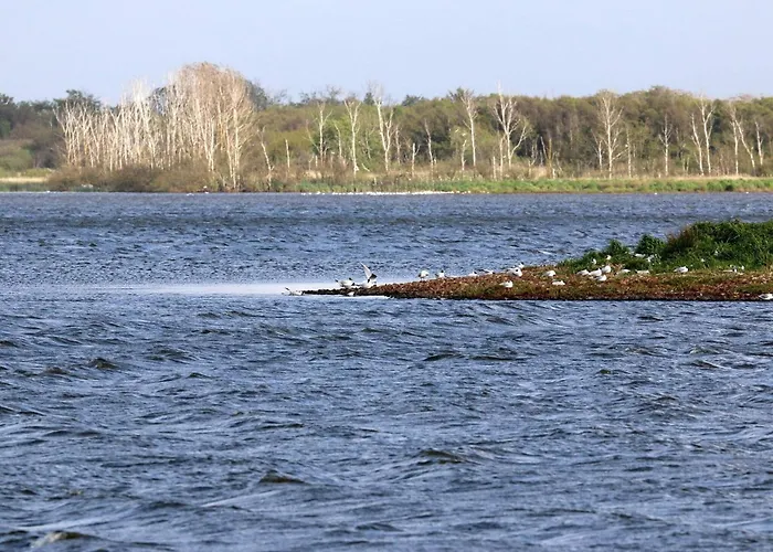 Luxury Retreat With Pool - By Traum Prázdninový dům