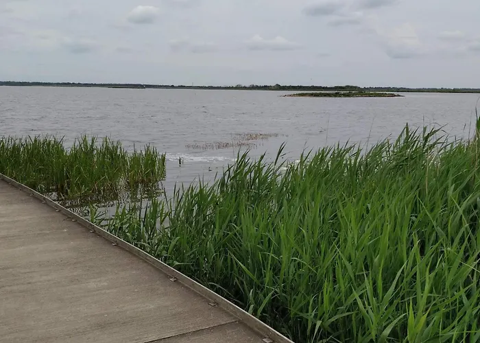 Luxury Retreat With Pool - By Traum *